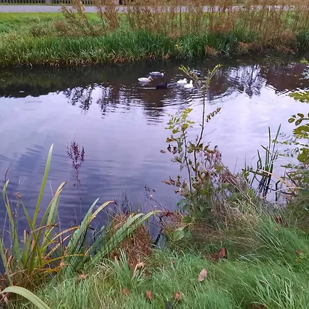 Bohlen-wieke *